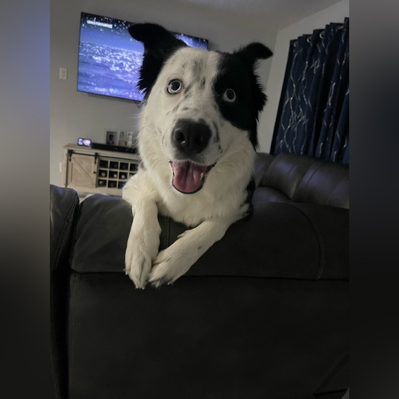 PLEASE LIKE THIS FLYER TO BE NOTIFIED-WEDNESDAY & THURSDAY @6:30 PM!👠👗👞👜👙💄👖👔 - Picture 8 of 17